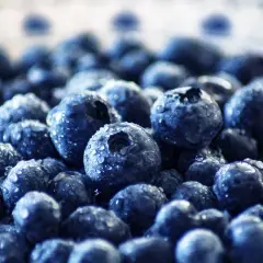 Frische Blaubeeren mit Wassertropfen. Ideal für die Einnahme von Quercetin, wann immer Sie einen gesunden Snack wünschen.