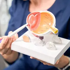 Model oka pokazuje, jak astygmatyzm może powodować "uciekanie oka", zniekształcając obraz.