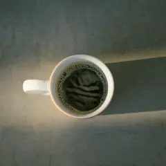 En kopp kaffe med skum. Är koffeinfritt kaffe farligt? Denna bild ger inga svar, bara en stunds eftertanke.