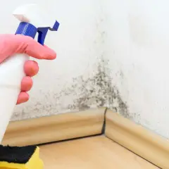 Mano con guante rosa rociando producto para quitar humedad ambiente de una pared con moho. Esponja amarilla y negra al lado.