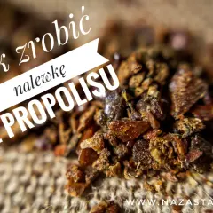 Jak zrobić nalewkę z propolisu na spirytusie? Zbliżenie na drobne, brązowe kawałki propolisu na płóciennym tle.