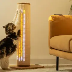 Katze kratzt an Sisal-Kratzbaum mit LED-Beleuchtung. Ein gelber Sofastoff ist im Hintergrund zu sehen.