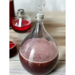 Aktywna fermentacja wina w balonie, widoczna jako gęsta piana na powierzchni. W tle inne butelki z czerwonym płynem.