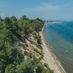 Mechelinki klif porośnięty drzewami, z piaszczystą plażą i turkusowym morzem. W oddali widać zabudowania i falochron.