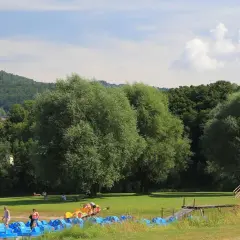 Słoneczna plaża w Czernichowie z rzędem niebieskich rowerków wodnych, zielonym trawnikiem i lasem w tle.