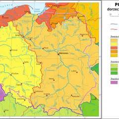 Mapa pokazuje, gdzie znajduje się Polska, jej główne rzeki i zlewiska Morza Bałtyckiego, Czarnego i Północnego.