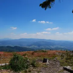 Widok na pasmo górskie Beskidów, gdzie widać liczne wzgórza i doliny. Jakie są szczyty w Beskidach? Ten krajobraz zapiera dech w piersiach.