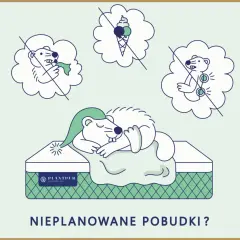 Śpiący bóbr na materacu, otoczony chmurkami z zakazanymi myślami: jedzeniem, stresem i bólem. Koniec z budzeniem się o 2-3 w nocy!
