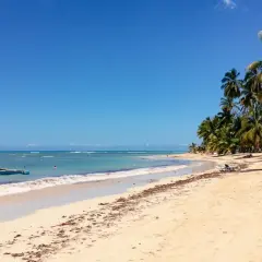 Traumhafter Strand in der Dominikanischen Republik, Punta Cana. Palmen säumen den Sand, ein Boot schaukelt im türkisfarbenen Meer.