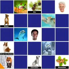 Jeu de mémoire dur : toucan, grenouille, pin, boxer, tortue, marronnier d'Inde, homme, ours brun, dauphin, homme, cerf, chouette, aigle, berger des Shetland, renard, dalmatien, noisetier, ara.