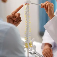 Lekarz pokazuje pacjentowi model kręgosłupa, wskazując na tylną wypuklinę krążka międzykręgowego.