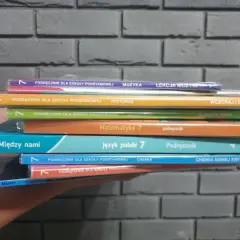 Czy można oddać książki do biblioteki? Zasady, terminy i konsekwencje zwrotu