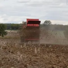 Czerwony rozrzutnik rozsypuje obornik na polu, przygotowując ziemię do nowego sezonu.