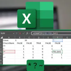 Excel mostra l'uso di caratteri speciali come * e ? nelle formule per contare valori.