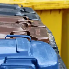 Co wrzucamy do brązowego pojemnika na śmieci? Lista zakazanych produktów