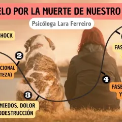 Ilustración sobre cómo superar la muerte de un perro, mostrando las 5 fases del duelo: shock, volcán emocional, miedos, aceptación y superación.