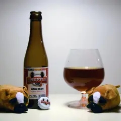 Dwa pluszowe pieski patrzą na butelkę piwa "Snuffle Dog Beer" i kieliszek z bursztynowym płynem. Czy pies może pić piwo? To piwo jest dla psów!
