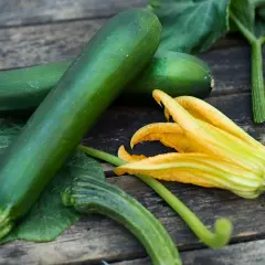 Färska zucchinis och en blomma på träbordet. Snart dags att plantera zucchini för en riklig skörd.
