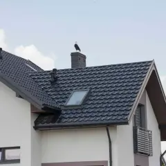 Ptak siedzi na kominie, który znajduje się w miejscu przecięcia dwóch połaci dachowych. Dach pokryty jest ciemną dachówką.