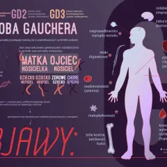 Choroba Gauchera: objawy obejmują bóle kostne, powiększenie wątroby i śledziony, niedokrwistość, zaburzenia krzepnięcia, osłabienie i problemy neurologiczne.
