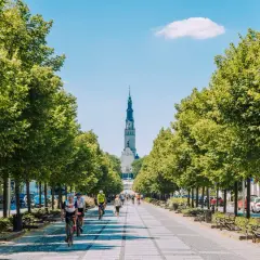Aleja drzew prowadzi do Jasnej Góry. Na ścieżce rowerzyści i spacerowicze. Rynek Częstochowa tętni życiem.