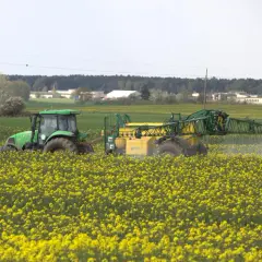 Zielony traktor z opryskiwaczem w polu rzepaku. Maszyna wykonuje zabieg mający na celu biologiczna ochrona upraw przed szkodnikami.