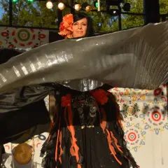 Co dziś w Zielonej Górze? Brak wydarzeń, ale nadchodzą atrakcje!