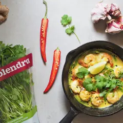 Krewetki 16/20 w kremowym sosie curry, ozdobione kolendrą, limonką i chili. Obok imbir, czosnek i świeża kolendra.