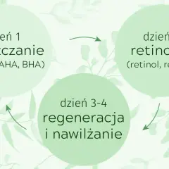 Cykl pielęgnacji skóry: dzień 1 złuszczanie (kwasy AHA, BHA), dzień 2 retinoidy (retinol, retinal), dni 3-4 regeneracja i nawilżanie. To jest skin cycling co to.