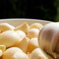 Czosnek, znany ze swoich właściwości zdrowotnych, w misce z obranymi ząbkami. Na co pomaga czosnek? Wzmacnia odporność i działa antybakteryjnie.