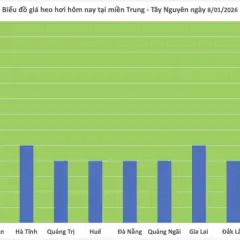 Ceny skupu żywca wieprzowego (styczeń 2026): Czy zarobisz więcej?