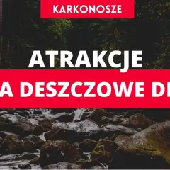 Karkonosze: atrakcje na deszczowe dni. Wodospad i kamienie w lesie.