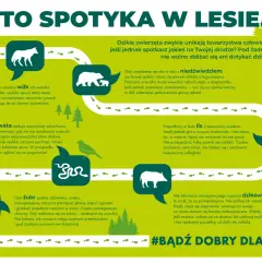 Dzikie zwierzęta w Polsce: wilk, niedźwiedź, żmija, lis, żubr, dzik. Zachowaj spokój i dystans.