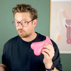 Mann mit Brille hält rosa Objekt. Im Hintergrund eine Grafik des männlichen Genitalbereichs, die Fragen zu Creatin Nebenwirkungen Hoden aufwirft.