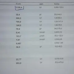 Wynik badania lipazy u psa: 1158,4 U/I, znacznie przekracza normę (0-120 U/I).