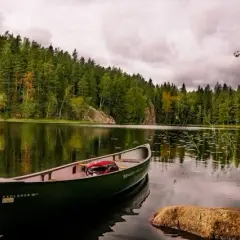 Czy w Finlandii jest bezpiecznie? Oto co musisz wiedzieć o zagrożeniach