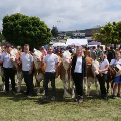 Menschen präsentieren stolz ihre Rinder auf dem Pferdemarkt Beerfelden.