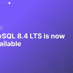Annonce : MySQL 8.4 LTS est disponible. Une nouvelle version pour vos bases de données SQL.