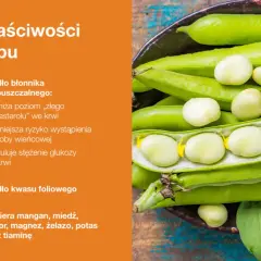Zbliżenie na zielone strąki bobu z wyjętymi nasionami, obok tekst o właściwościach bobu.