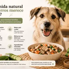 Perro feliz junto a un bol de comida natural. Beneficios: mejor digestión, piel, energía y defensas. Opiniones sobre comida natural para perros.