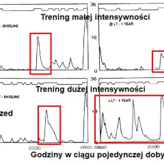 Hormon wzrostu przed czy po treningu - kiedy osiągniesz najlepsze efekty?