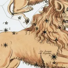 Gwiazda Regulus, zwana też Cor Leonis, jest sercem Lwa na tej starej mapie nieba.