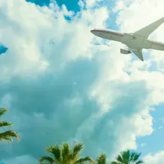 Avión surcando el cielo azul con nubes, palmeras abajo. ¡Listos para vuelos a Zanzibar!