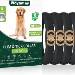 Los mejores collares para garrapatas en perros: protección efectiva y segura
