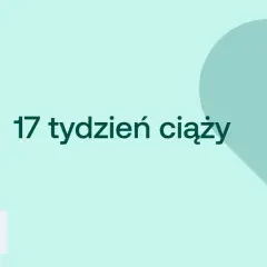 17 tydzień ciąży to już połowa czwartego miesiąca. Na jasnym tle serce i ikony D+ oraz kobiety w ciąży.