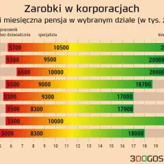 Wykres pokazuje, ile zarabiają pracownicy w korporacjach na różnych stanowiskach, od początkujących po kierowników zespołów.