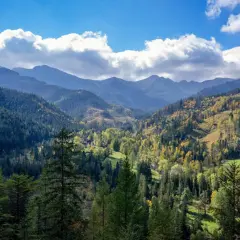 Jesienne kolory Tatr zachęcają do spacerów. Łatwe szlaki Zakopane oferują piękne widoki na góry i lasy.