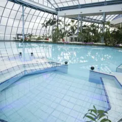 Tropikalny aquapark pod Warszawą z basenami, palmami i egzotycznymi kwiatami pod szklanym dachem.