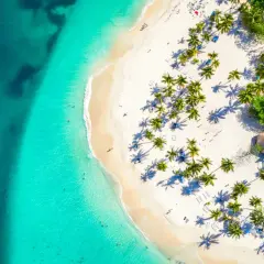 Widok z lotu ptaka na tropikalną plażę z palmami, białym piaskiem i turkusową wodą.