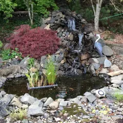 A serene homemade pond waterfall cascades over rocks into a dark pool. A decorative heron statue watches over the koi swimming below.